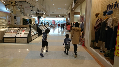 11日・今帰仁城跡の桜まつり！